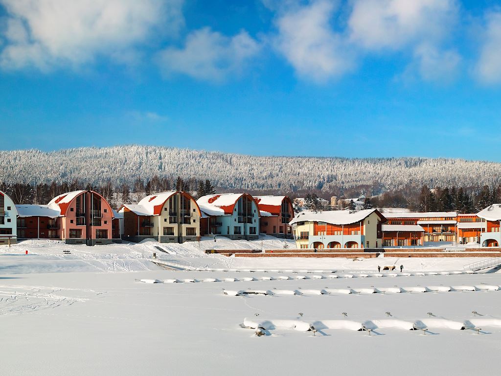 luxe villa huren met kerst - marina lipno tsjechië